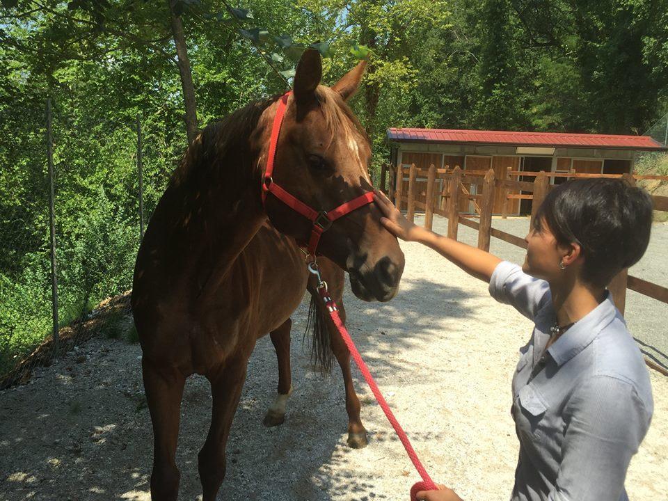 B&B Lo Scoiattolo del Pollino Rotonda Esterno foto