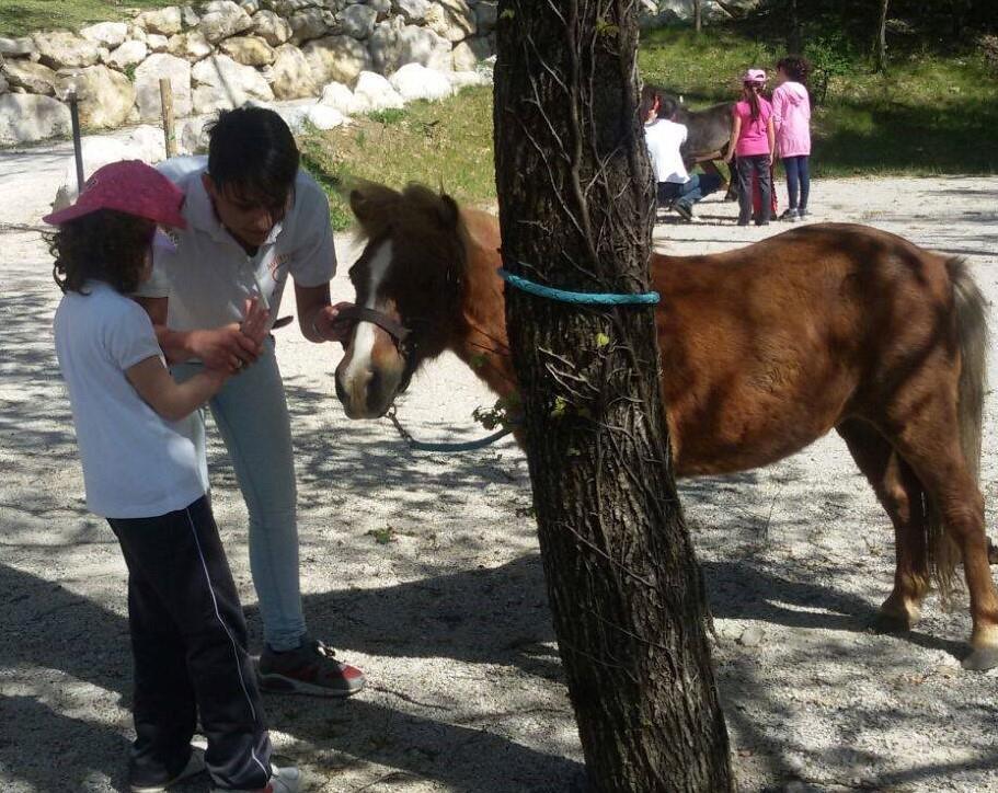 B&B Lo Scoiattolo del Pollino Rotonda Esterno foto